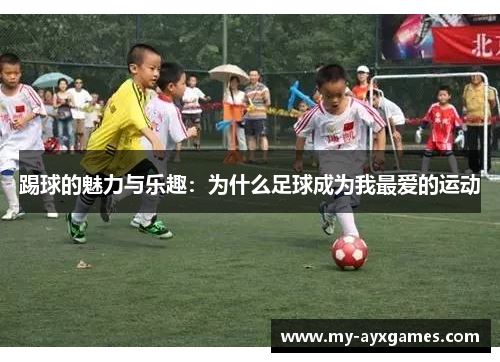 踢球的魅力与乐趣：为什么足球成为我最爱的运动